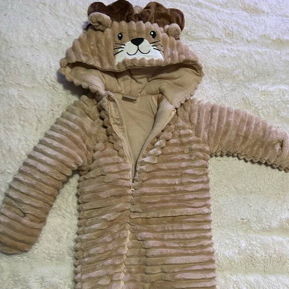 Koala Baby - Picture 2 of 6